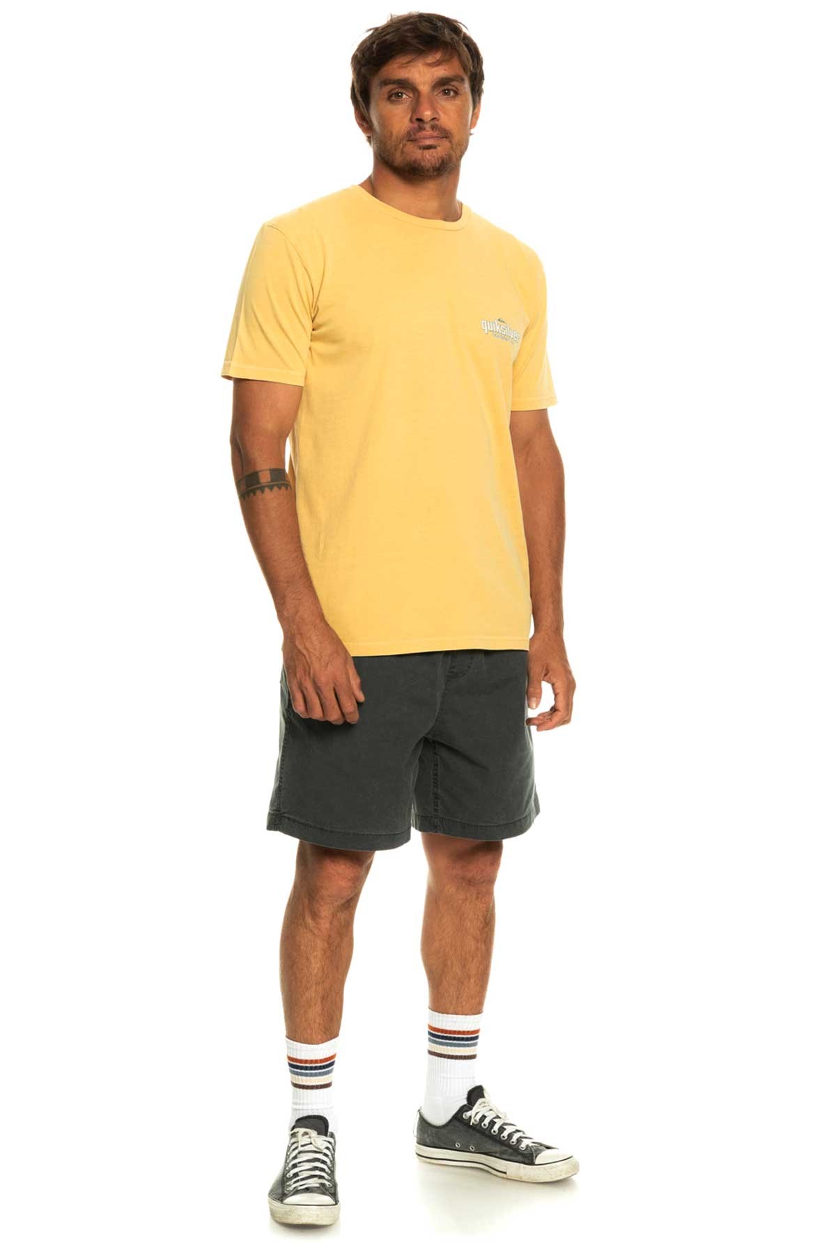 Quiksilver Quikwords Erkek Tişört EQYZT07263-YGY0 Sarı