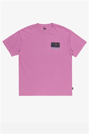 Quiksilver Spin Cycle Erkek Tişört EQYZT07653-PMP0 Mor