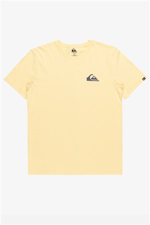 Quiksilver Mw Mini Logo Erkek Tişört EQYZT07657-16884