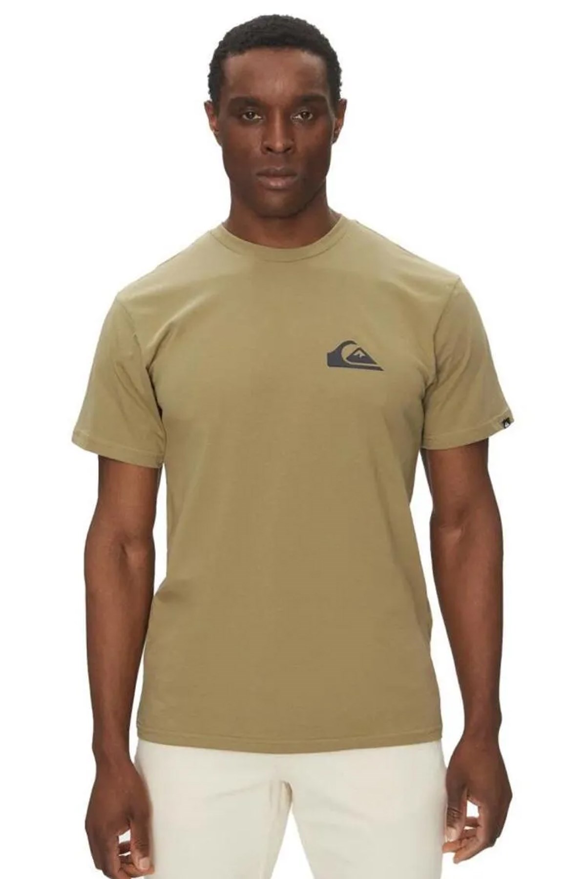 Quiksilver Ev Mini Logo Erkek Tişört Yeşil