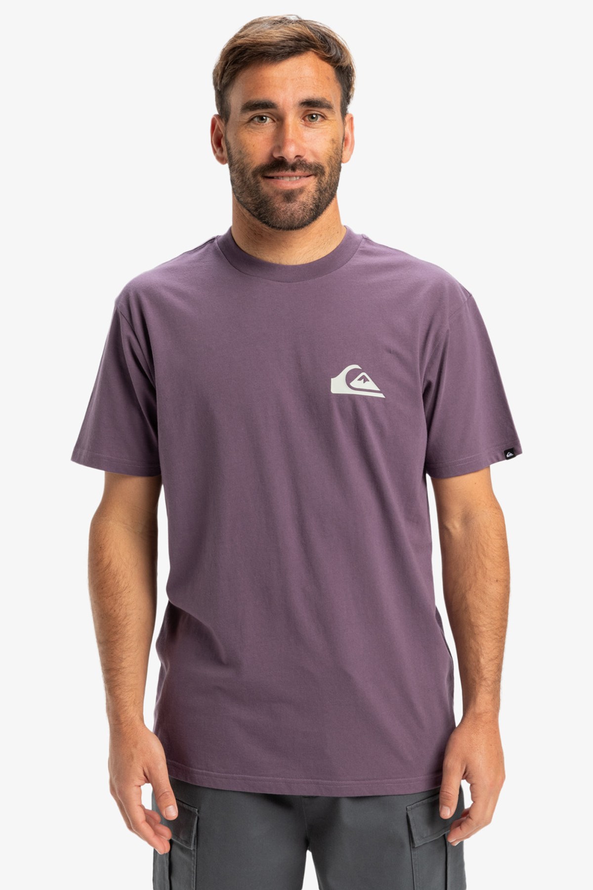 Quiksilver Ev Mini Logo Erkek Tişört Mor