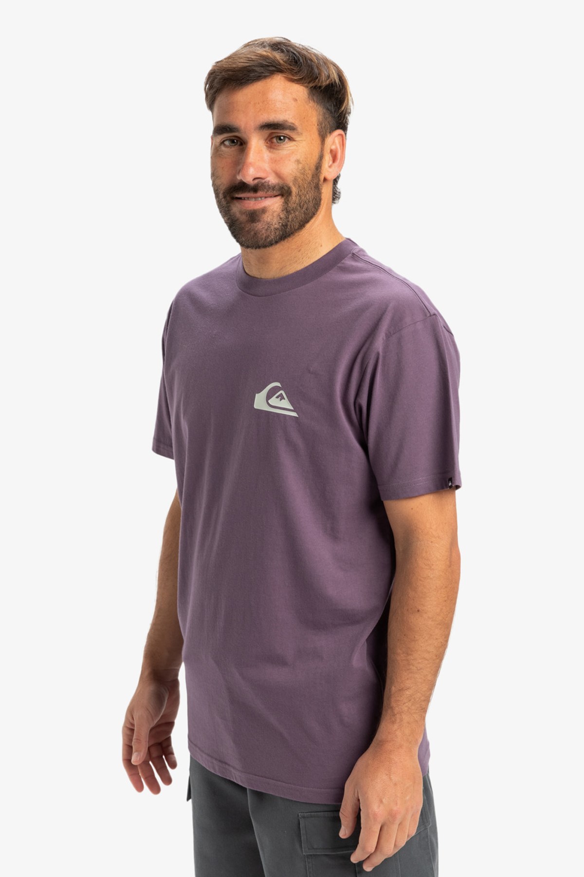 Quiksilver Ev Mini Logo Erkek Tişört Mor