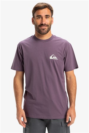 Quiksilver Ev Mini Logo Erkek Tişört