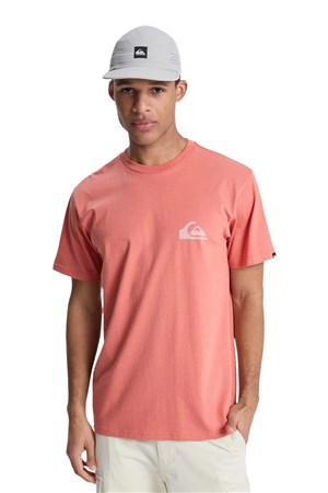 Quiksilver Ev Mini Logo Erkek Tişört EQYZT08181-2020