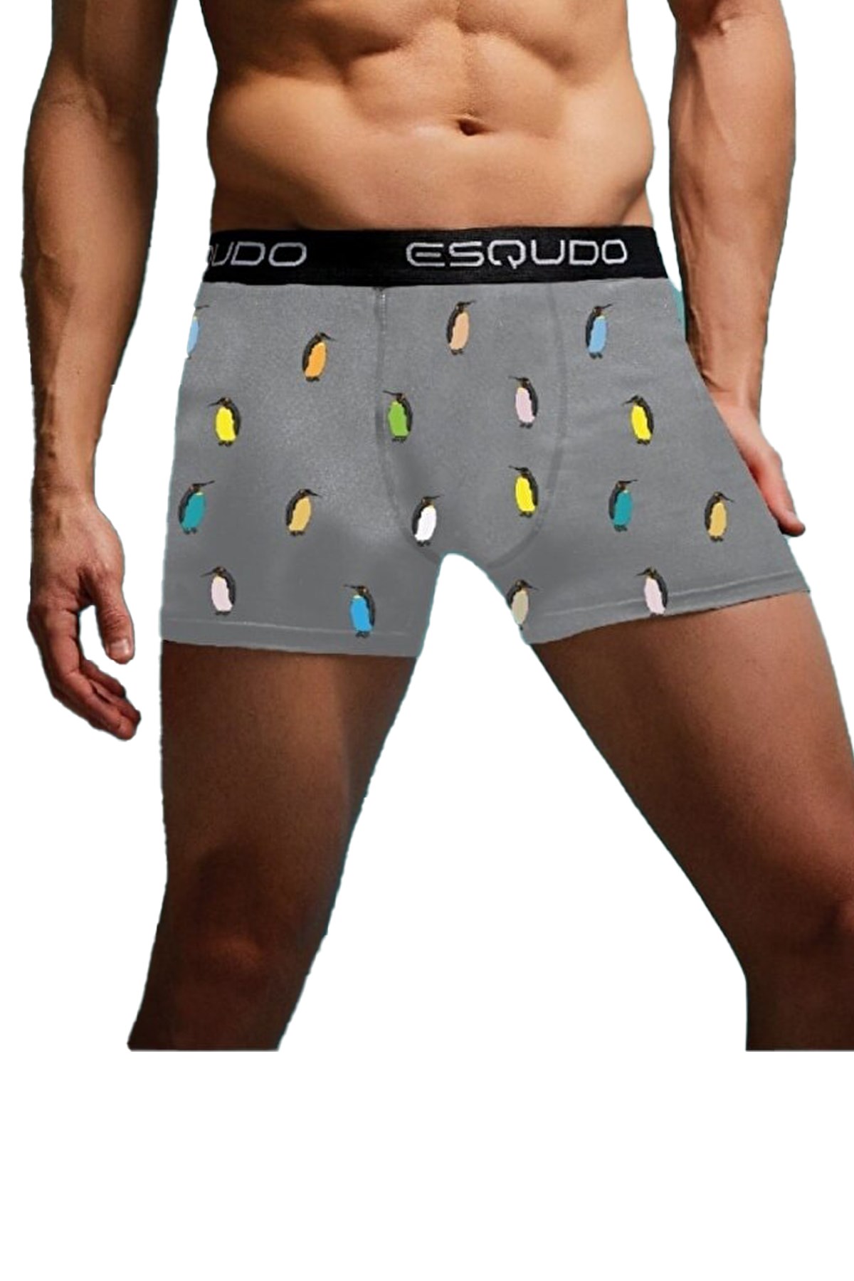 Esqudo Erkek Boxer ESBXD0030 Gri