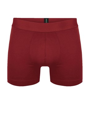 Esqudo Erkek Boxer ESBXM0001