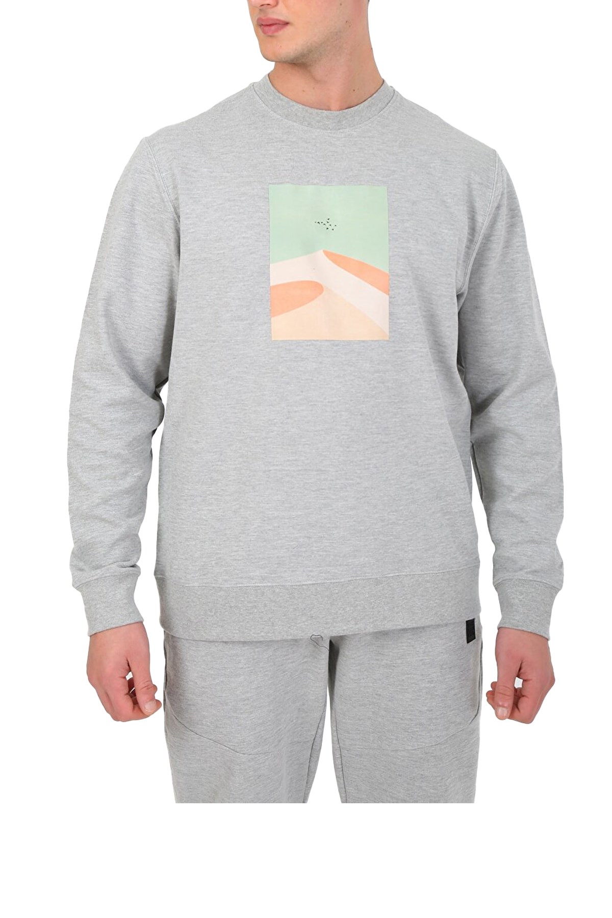 Esqudo Powder Erkek Sweatshirt ESWTP0004 Gri