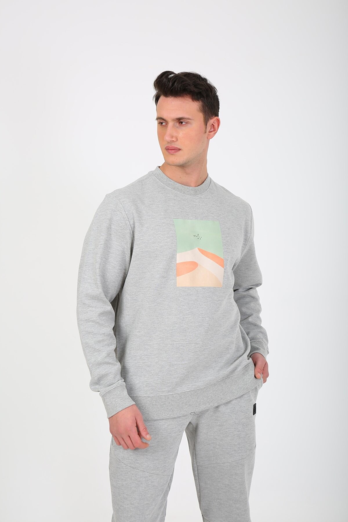 Esqudo Powder Erkek Sweatshirt ESWTP0004 Gri