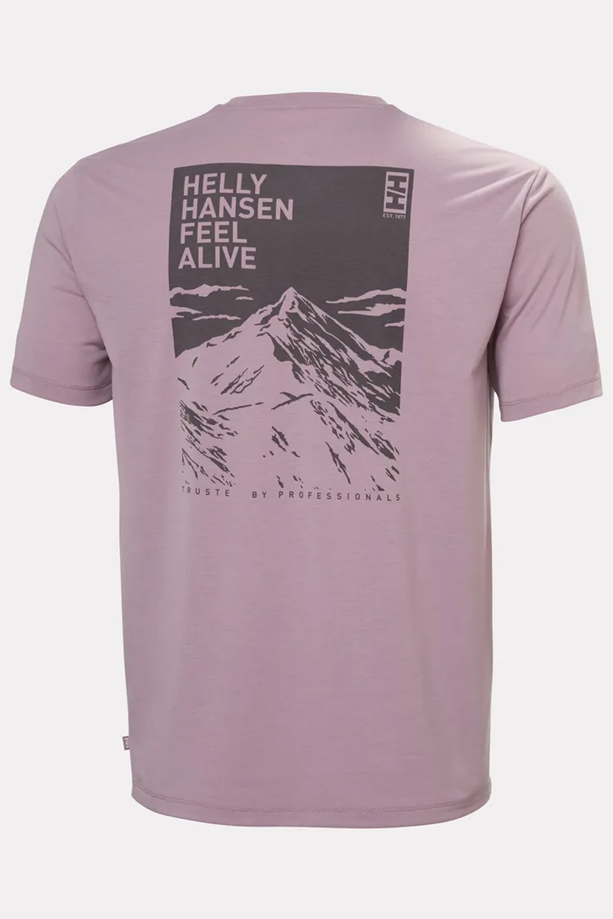 Helly Hansen Skog Recycled Graphic T-Shirt Hha.63082 676 Mor