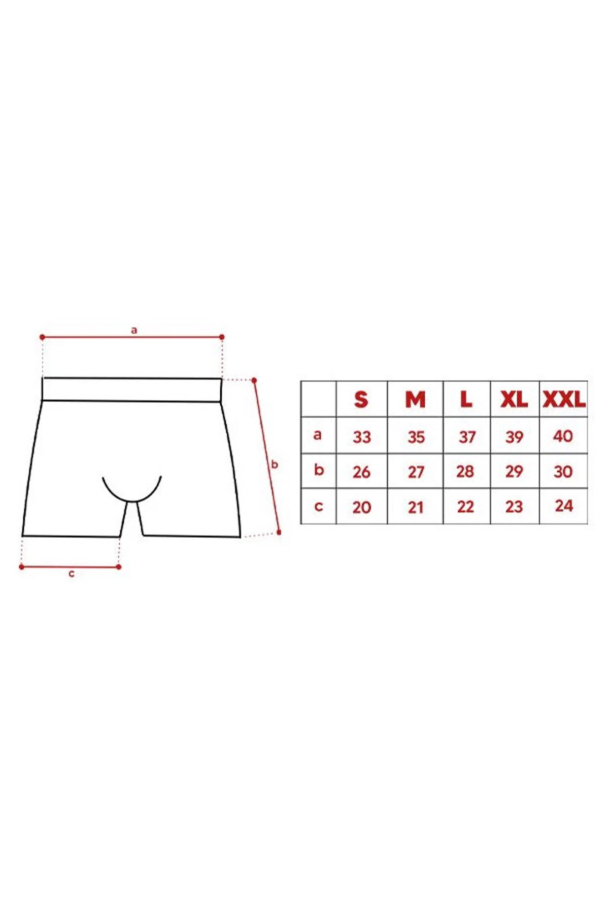 John Frank Üçlü Campus Erkek Boxer JF3BCA06 Lacivert