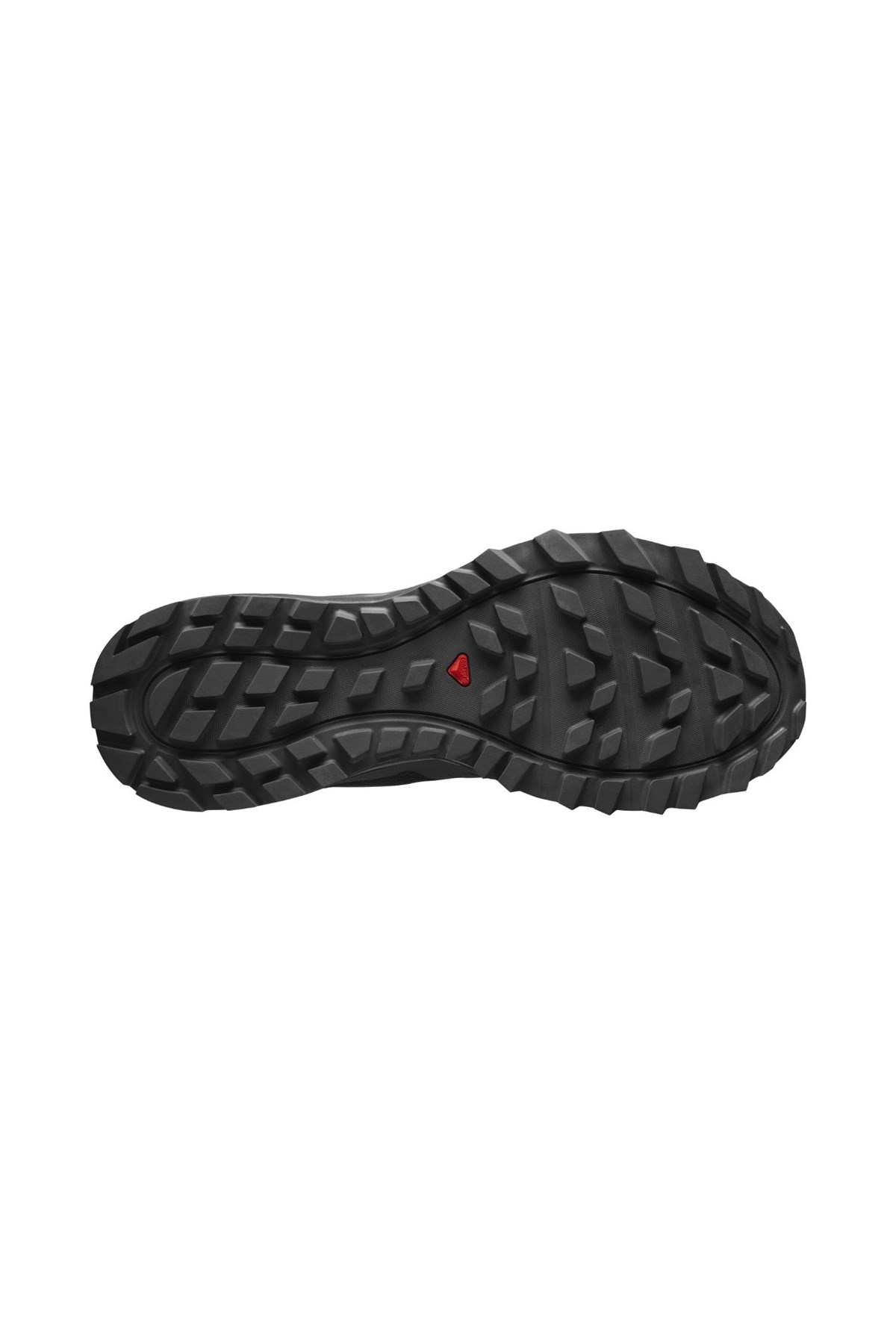 Salomon Trailster 2 Patika Koşu Ayakkabı L40962700 Siyah