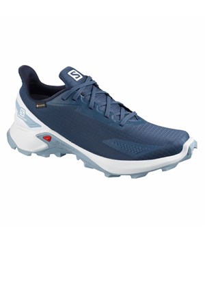 Salomon Alphacross Blast Gtx Outdoor Ayakkabı L411060