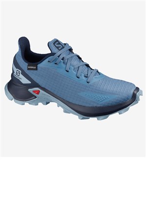 Salomon Alphacross Blast Cswp J Waterproof Ayakkabı L41122900