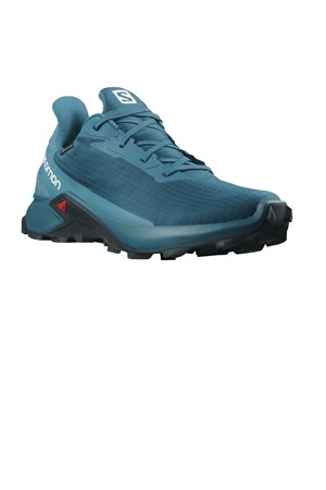 Salomon Alphacross 3 Gtx Erkek Outdoor Ayakkabı L41446700