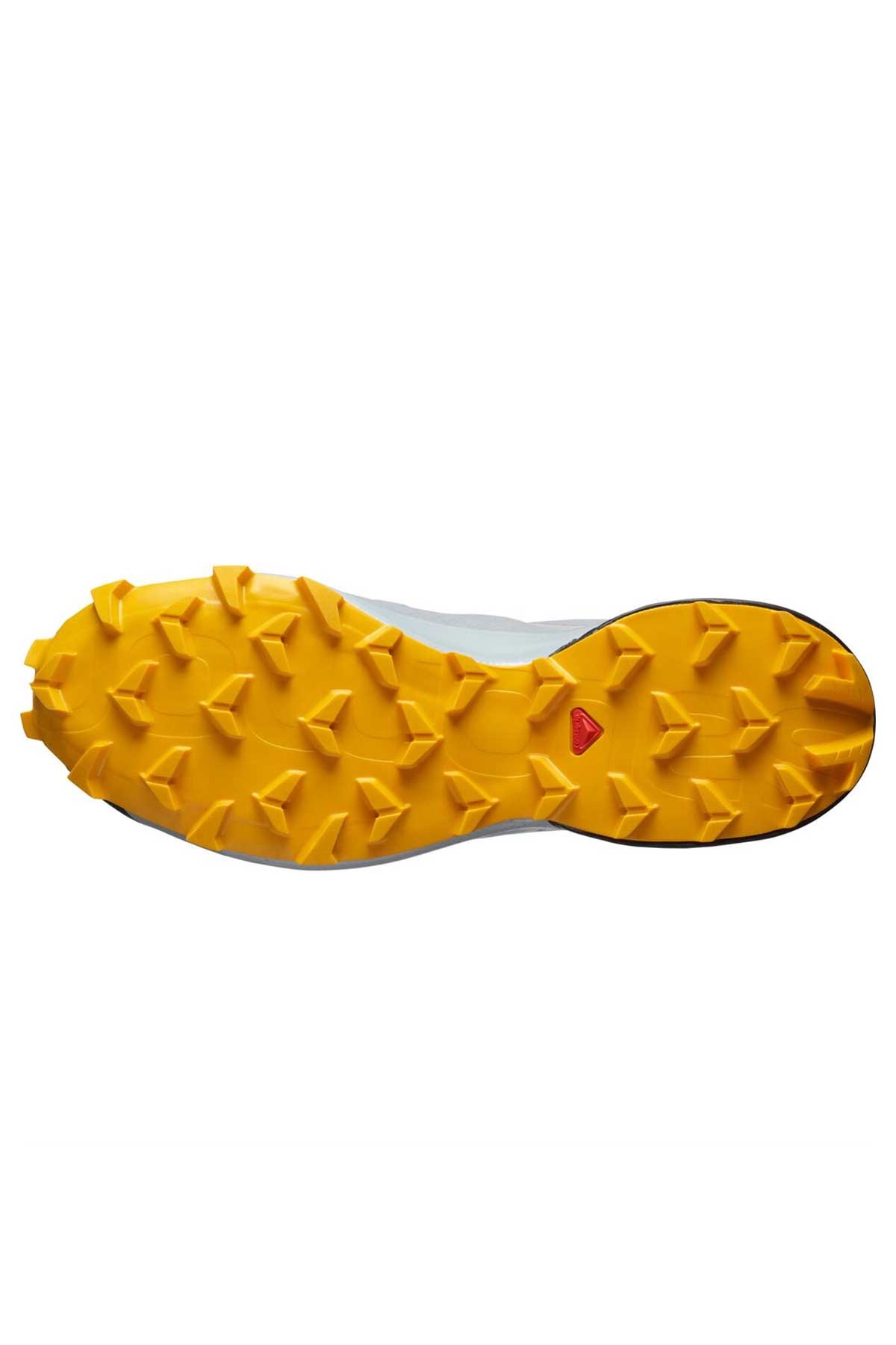 Salomon Speedcross 5 GTX Erkek Outdoor Ayakkabı L41461300 Gri