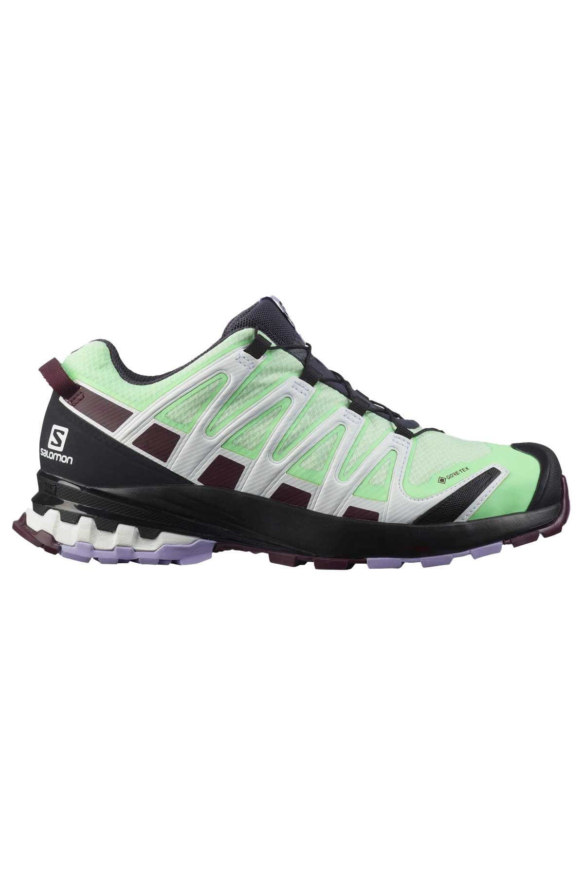 Salomon Xa Pro 3D V8 GTX Kadın Outdoor Ayakkabı L41563600 Yeşil