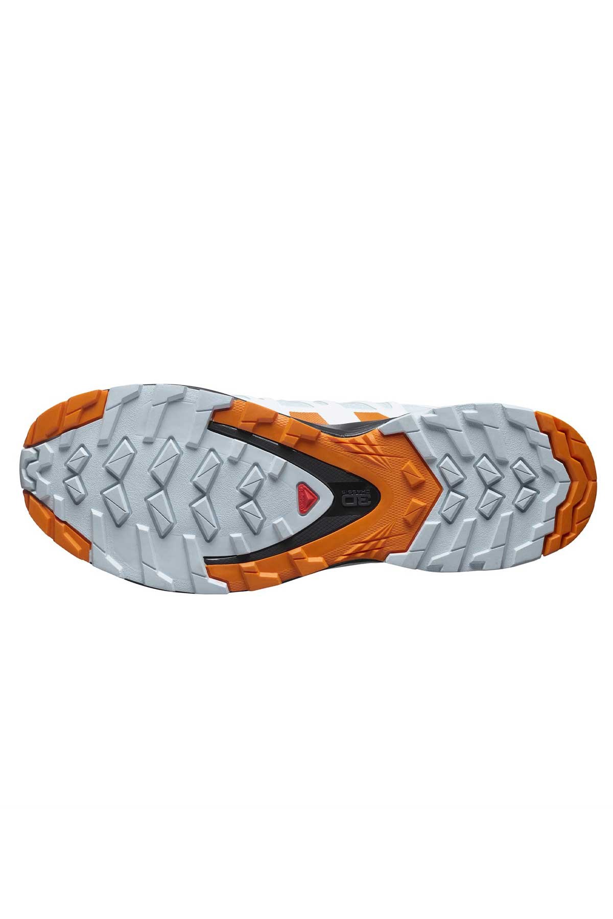 Salomon Xa Pro 3D V8 GTX Kadın Outdoor Ayakkabı L41564100 Mavi