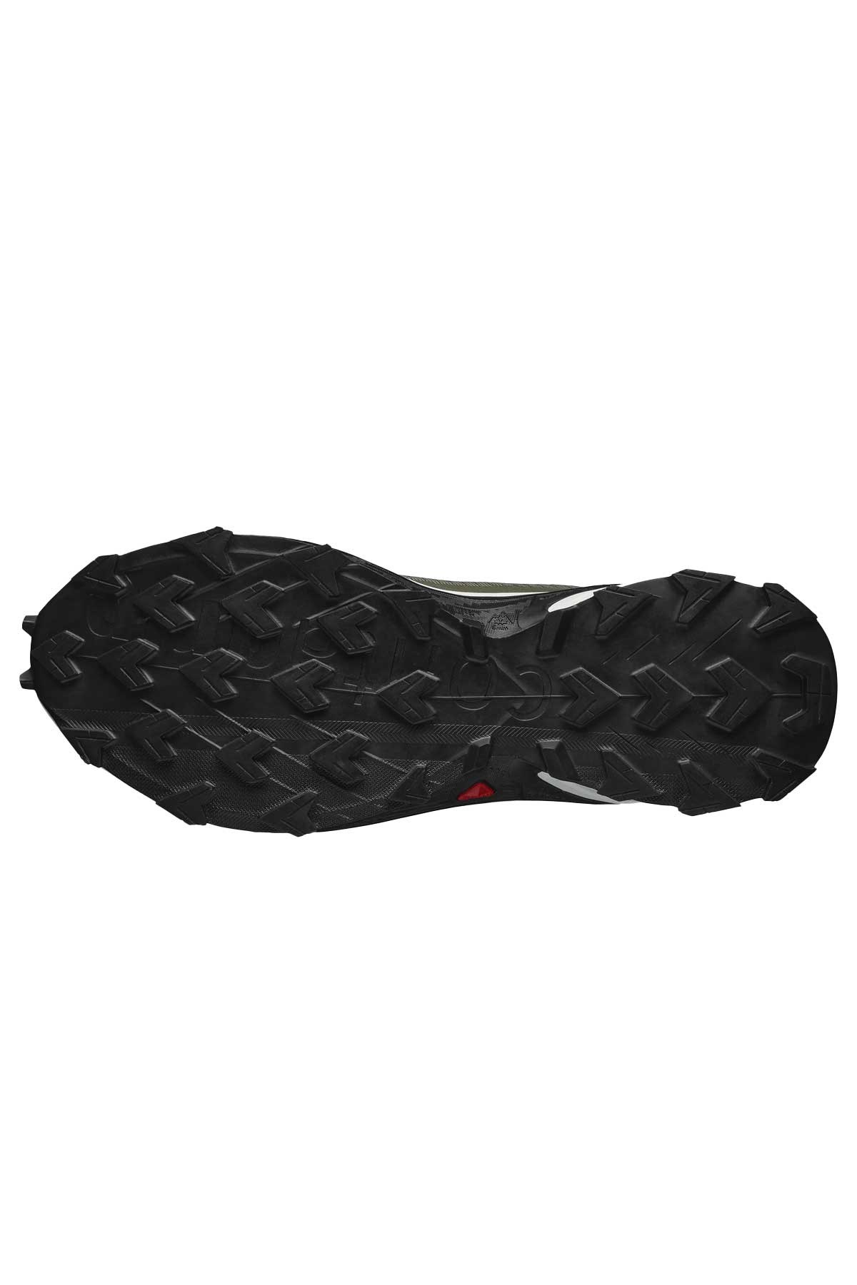 Salomon Alphacross 4 GTX Erkek Outdoor Ayakkabı L41723000 Haki