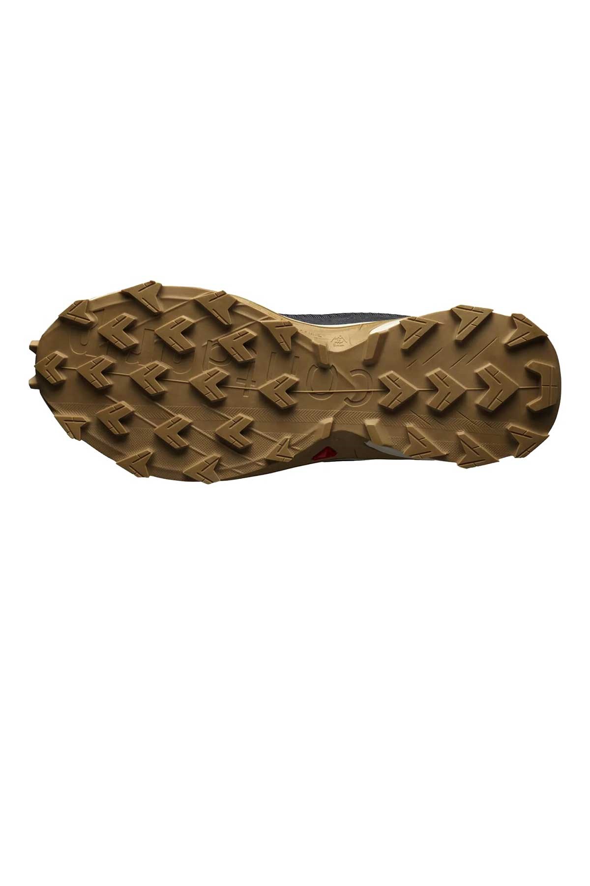 Salomon Alphacross 4 Erkek Outdoor Ayakkabı L41724100 Gri