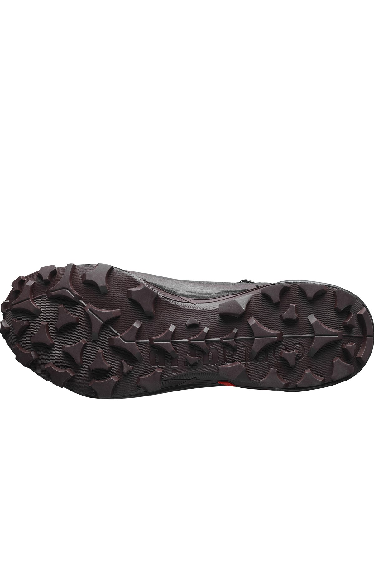 Salomon Cross Hike Mid GTX 2  Kadın Outdoor Bot L41731000 Siyah