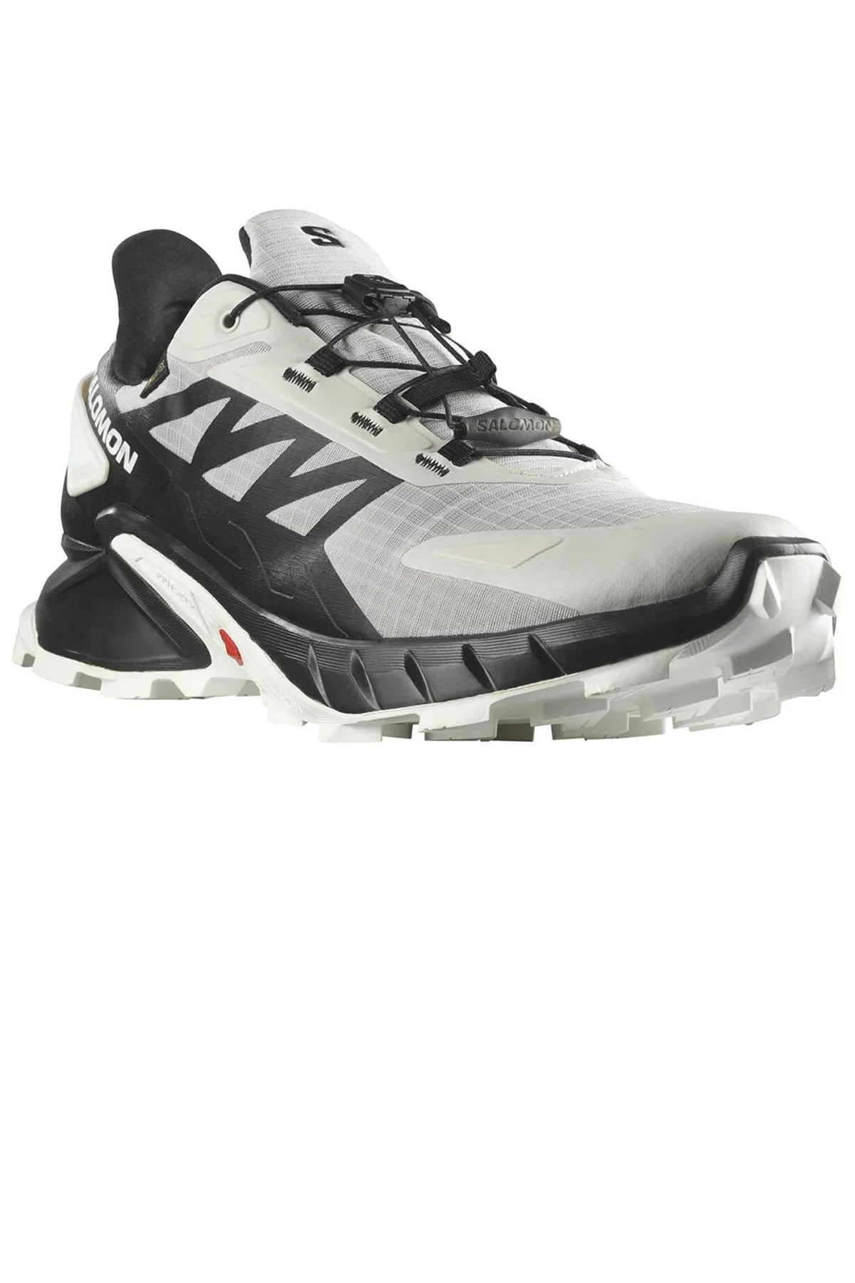 Salomon Supercross 4 GTX Erkek Patika Koşu Ayakkabısı L41731900 Gri