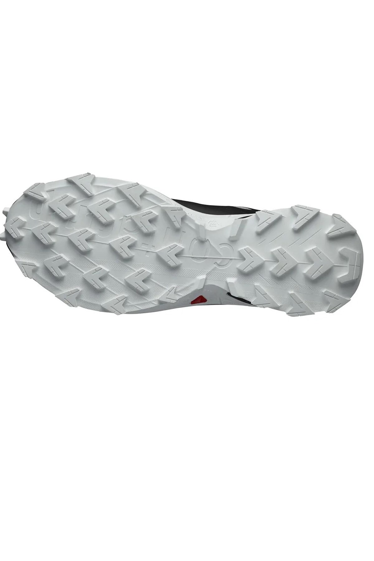 Salomon Supercross 4 GTX Erkek Patika Koşu Ayakkabısı L41731900 Gri