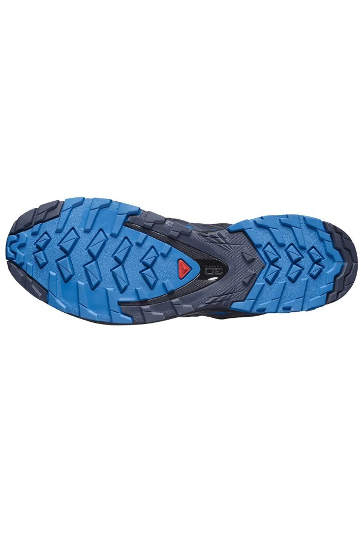 Salomon Xa Pro 3D V8 GTX Erkek Patika Koşu Ayakkabısı L41735300 Siyah