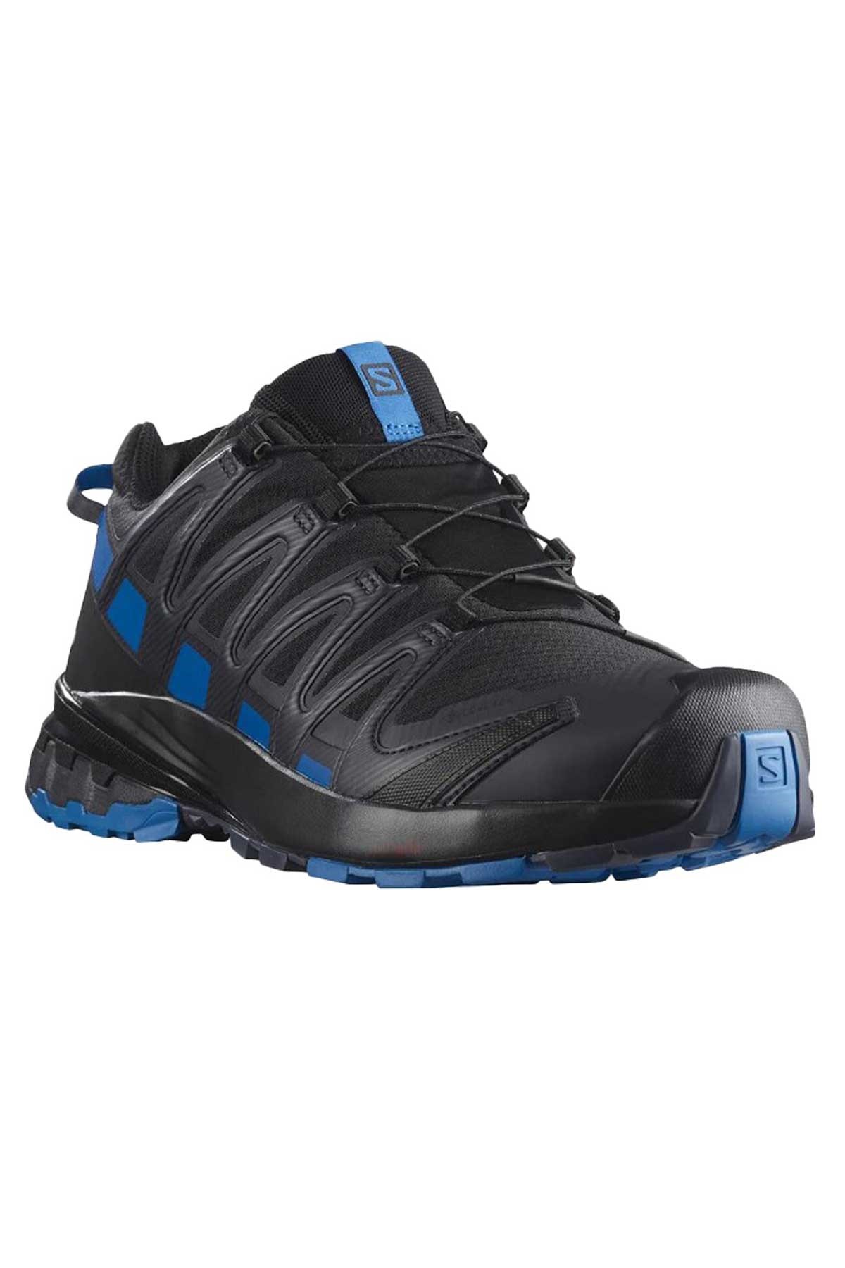 Salomon Xa Pro 3D V8 GTX Erkek Patika Koşu Ayakkabısı L41735300 Siyah