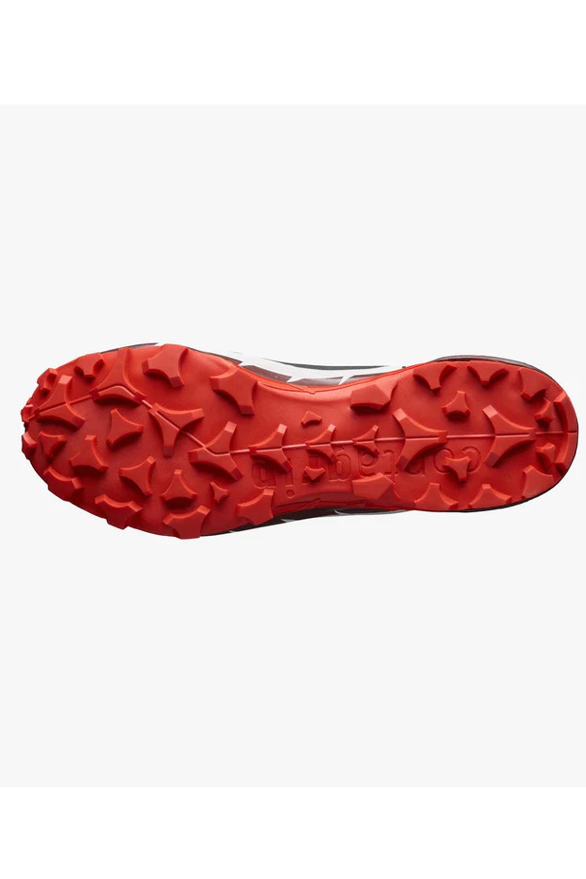 Salomon Cross Hike Mid GTX 2  Erkek Outdoor Bot L41735900 Siyah