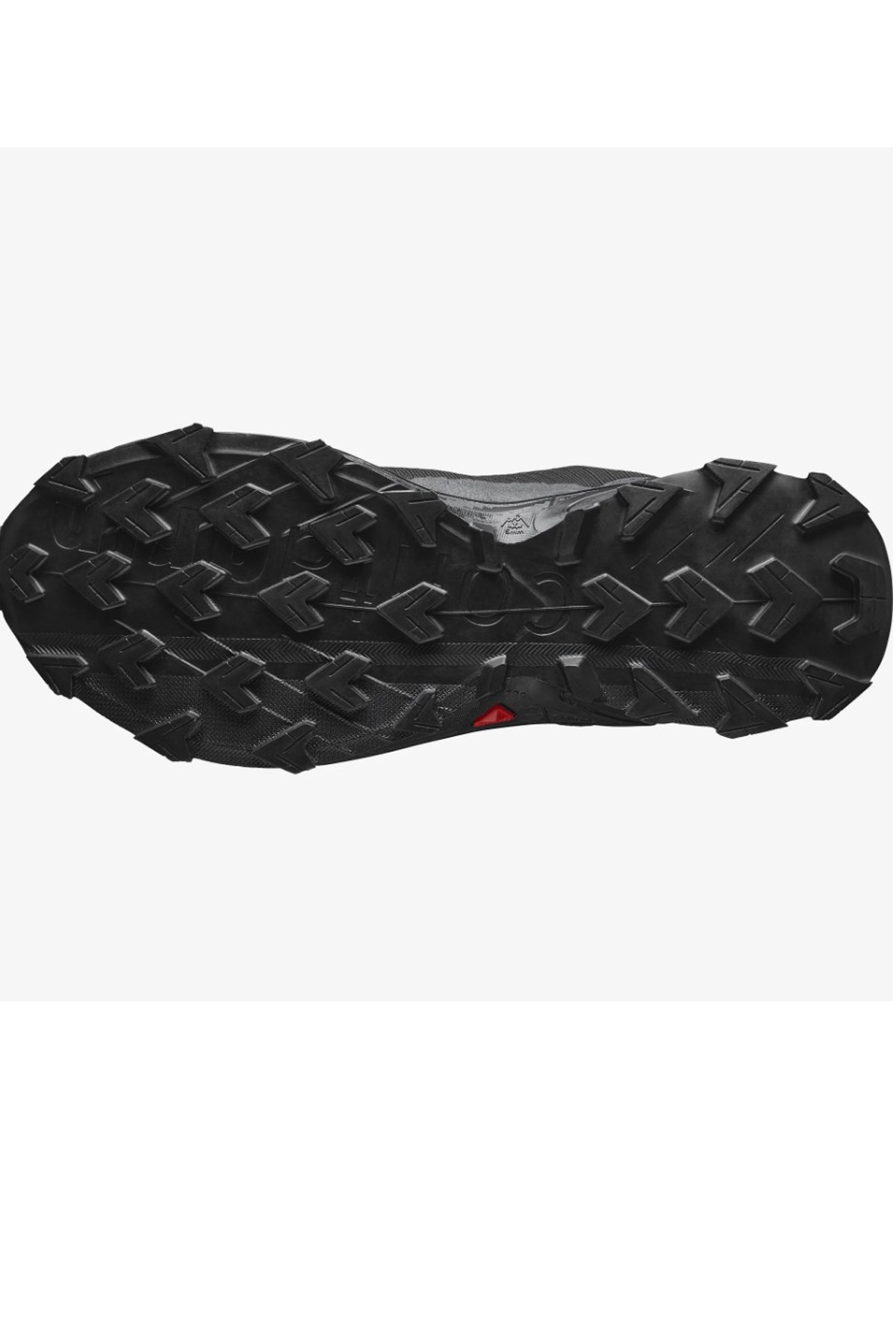 Salomon Alphacross 4 GTX Erkek Patika Koşu Ayakkabısı L47064000 Siyah