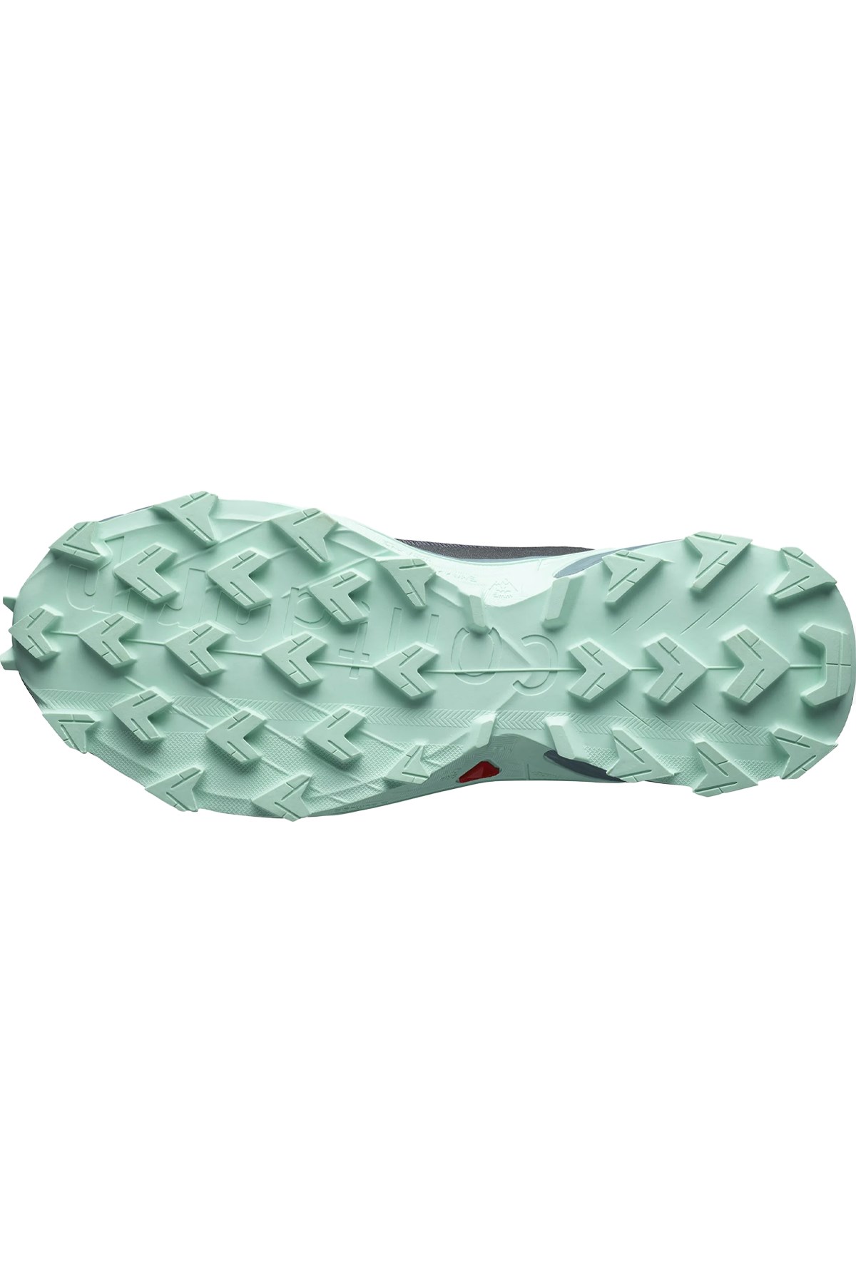 Salomon Alphacross 4 Gore-Tex Kadın Patika Koşu Ayakkabısı L47066800 Antrasit