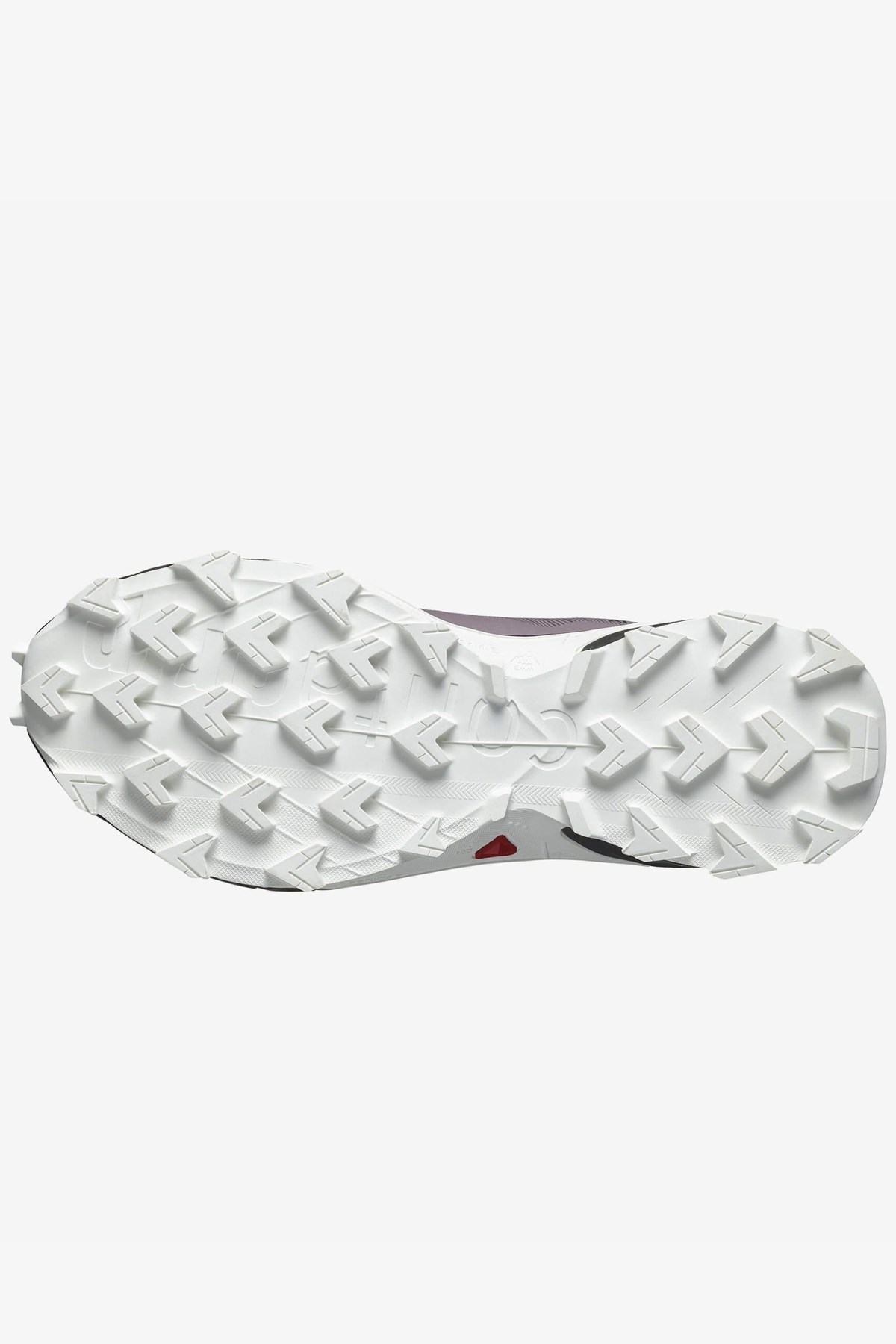 Salomon Alphacross 5 Gtx Kadın Patika Koşusu Ayakkabısı L47311000 Bordo