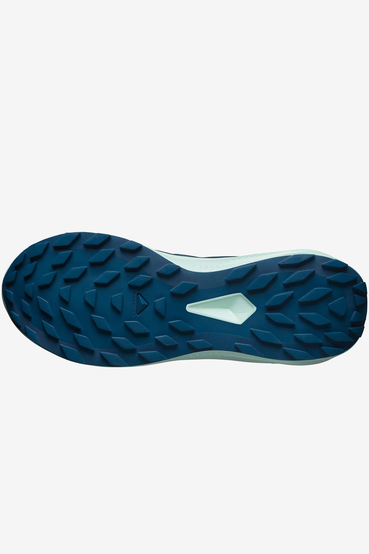 Salomon Alphaglide Erkek Patika Koşusu Ayakkabı Mavi