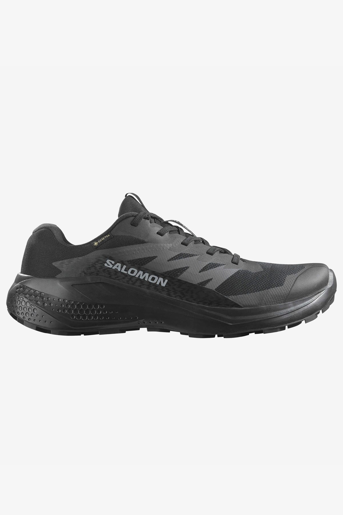 Salomon Alphaglıde Gore-Tex Erkek Patika Koşusu Ayakkabısı Siyah