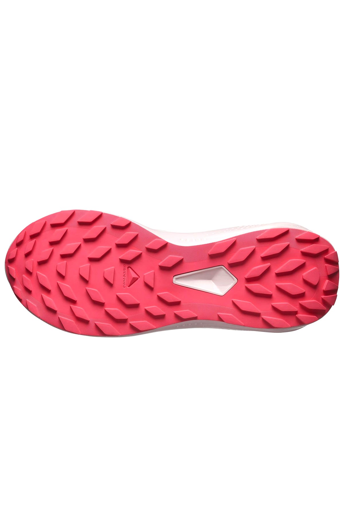 Salomon Alphaglıde Gore-Tex Kadın Patika Koşusu Ayakkabısı L47802300 Beyaz