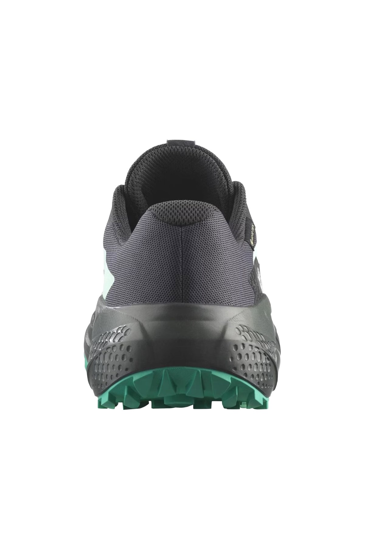 Salomon Alphaglıde Gore-Tex Kadın Patika Koşusu Ayakkabısı Antrasit