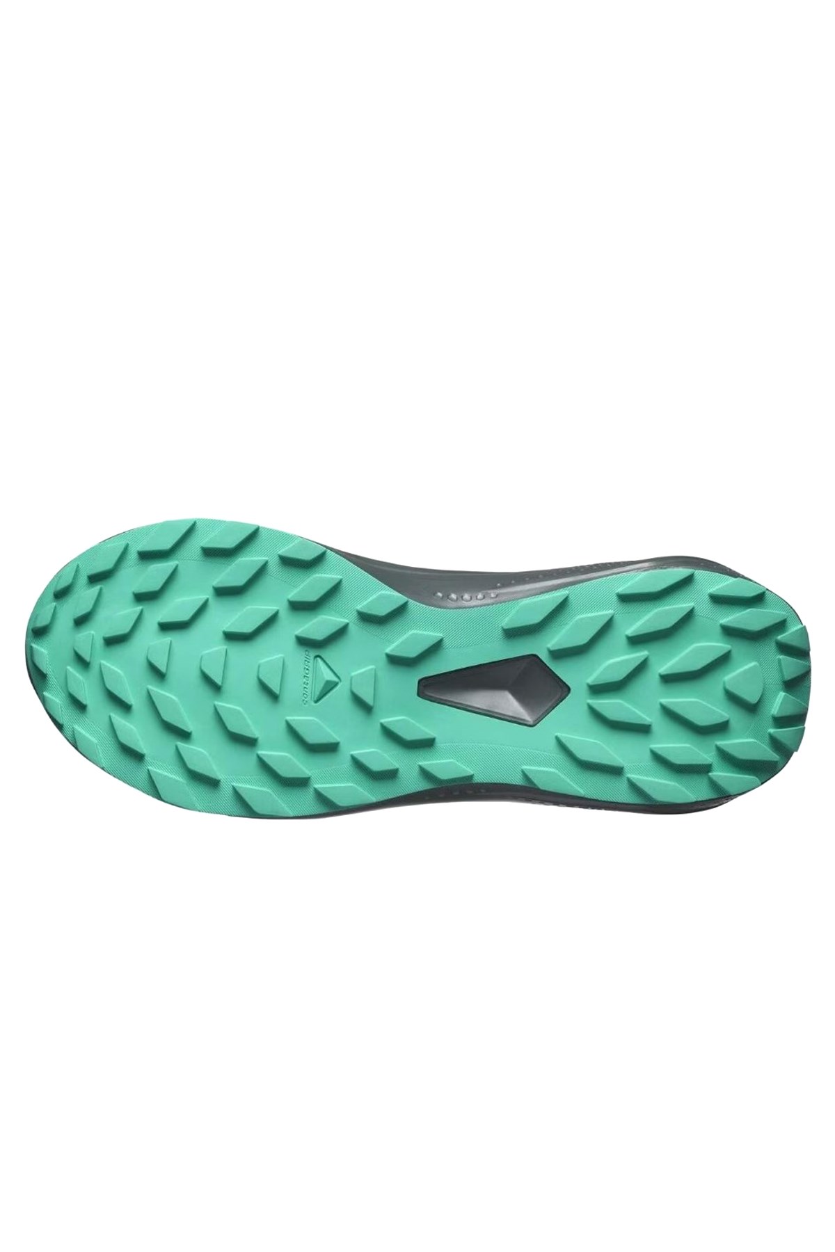 Salomon Alphaglıde Gore-Tex Kadın Patika Koşusu Ayakkabısı Antrasit