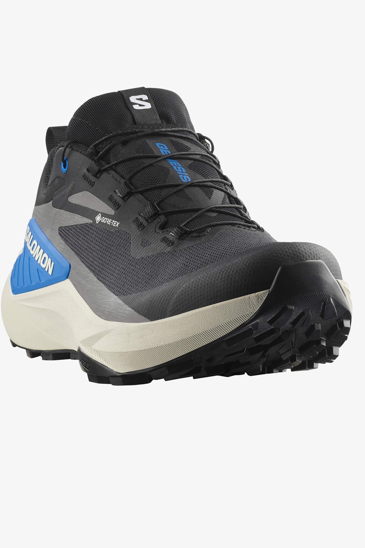 Salomon Genesıs Gore-Tex Erkek Patika Koşusu Ayakkabısı Siyah