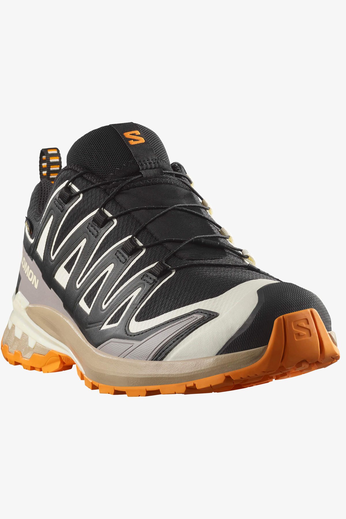 Salomon Xa Pro 3D V9 Gore-Tex Erkek Outdoor Ayakkabı Siyah