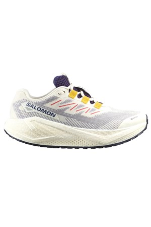 Salomon Aero Blaze 3 Grvl Kadın Gravel Koşu Ayakkabısı L47974100