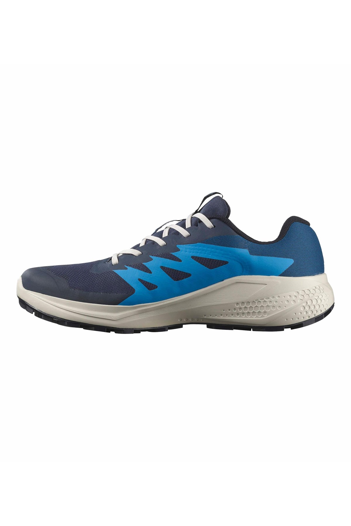 Salomon Alphaglıde Gore-Tex Erkek Patika Koşusu Ayakkabısı L47975100 Mavi
