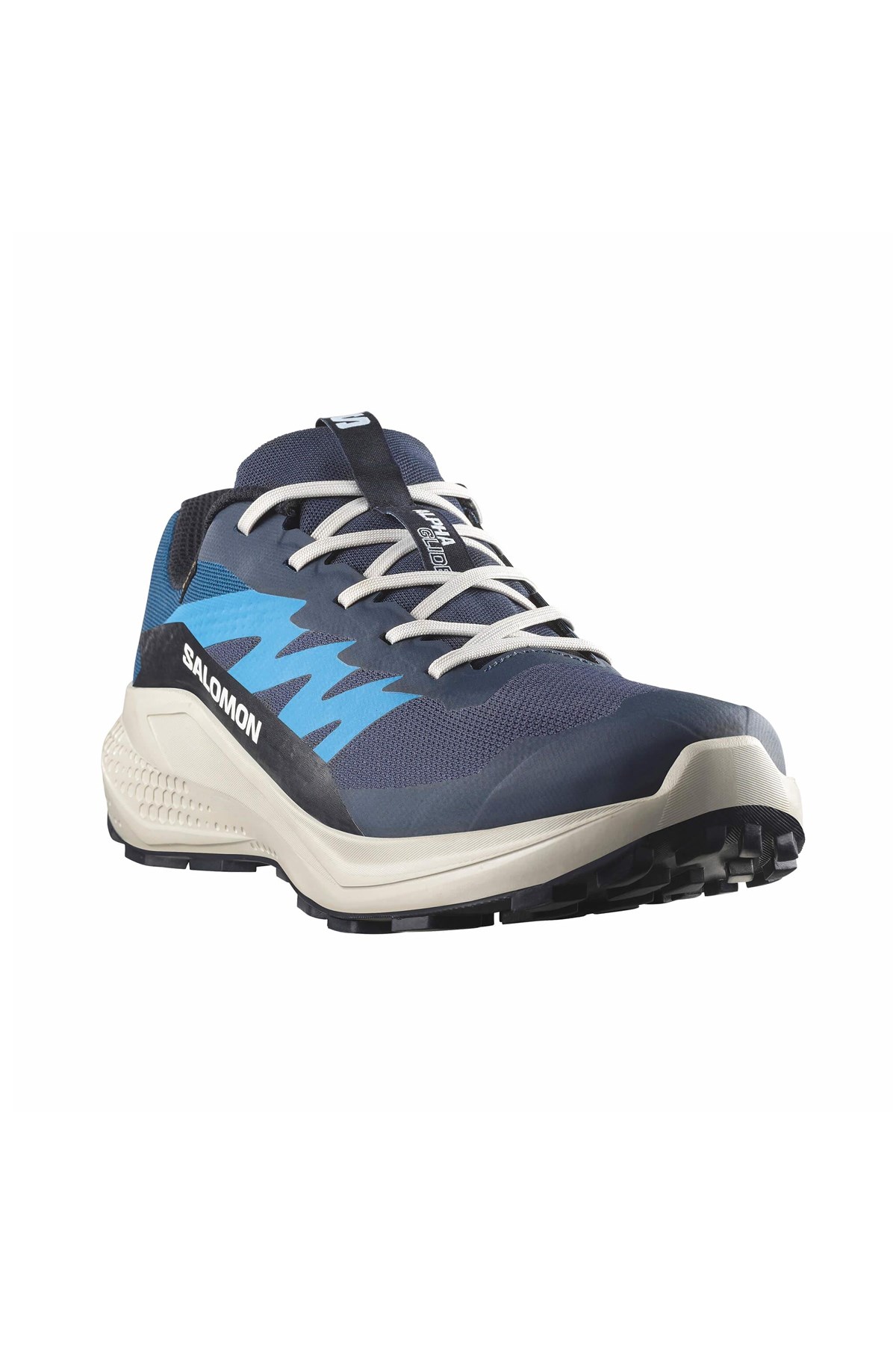 Salomon Alphaglıde Gore-Tex Erkek Patika Koşusu Ayakkabısı L47975100 Mavi