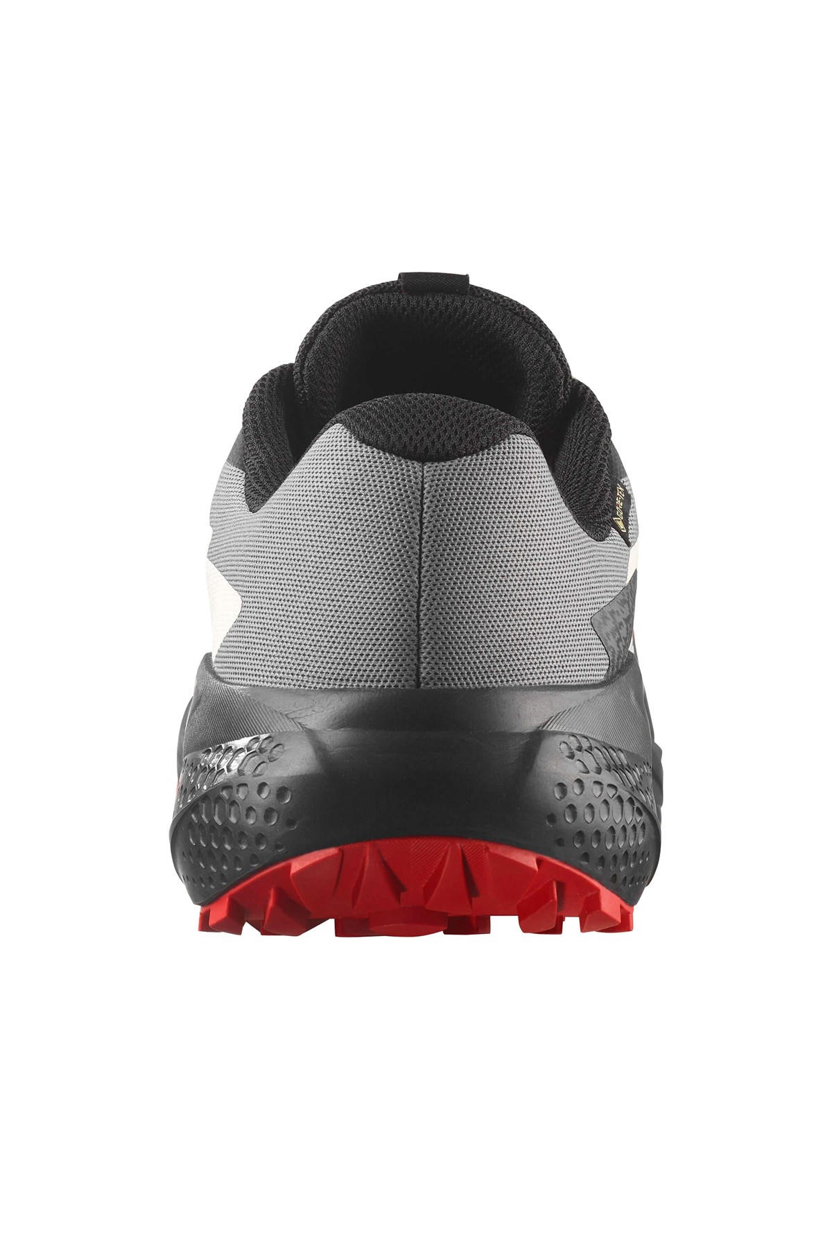 Salomon Alphaglıde Gore-Tex Erkek Patika Koşusu Ayakkabısı L47975200 Kırmızı