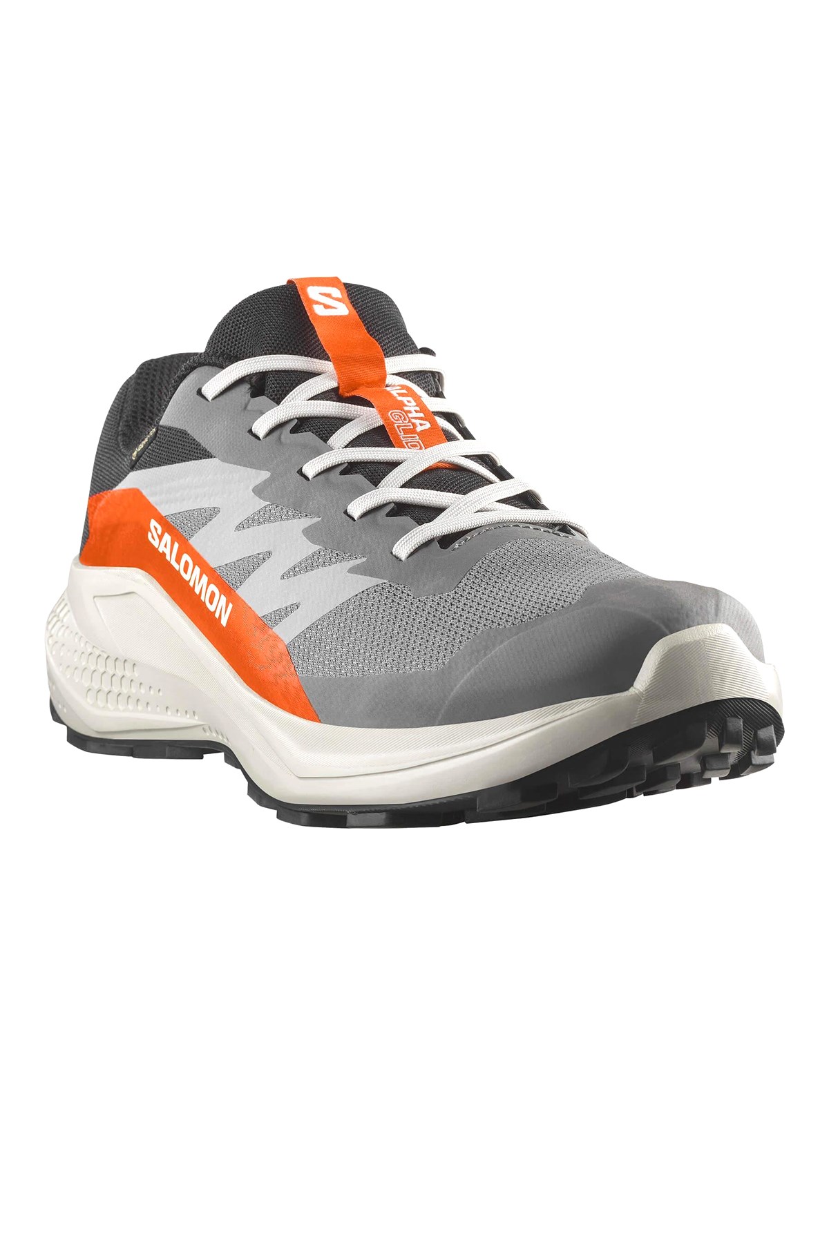 Salomon Alphaglıde Gore-Tex Erkek Patika Koşusu Ayakkabısı L47975300 Gri
