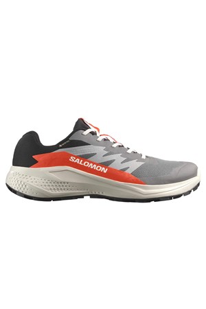 Salomon Alphaglıde Gore-Tex Erkek Patika Koşusu Ayakkabısı L47975300