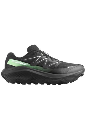 Salomon Ultra Flow 2 Gore-Tex Erkek Patika Koşusu Ayakkabısı L47981400