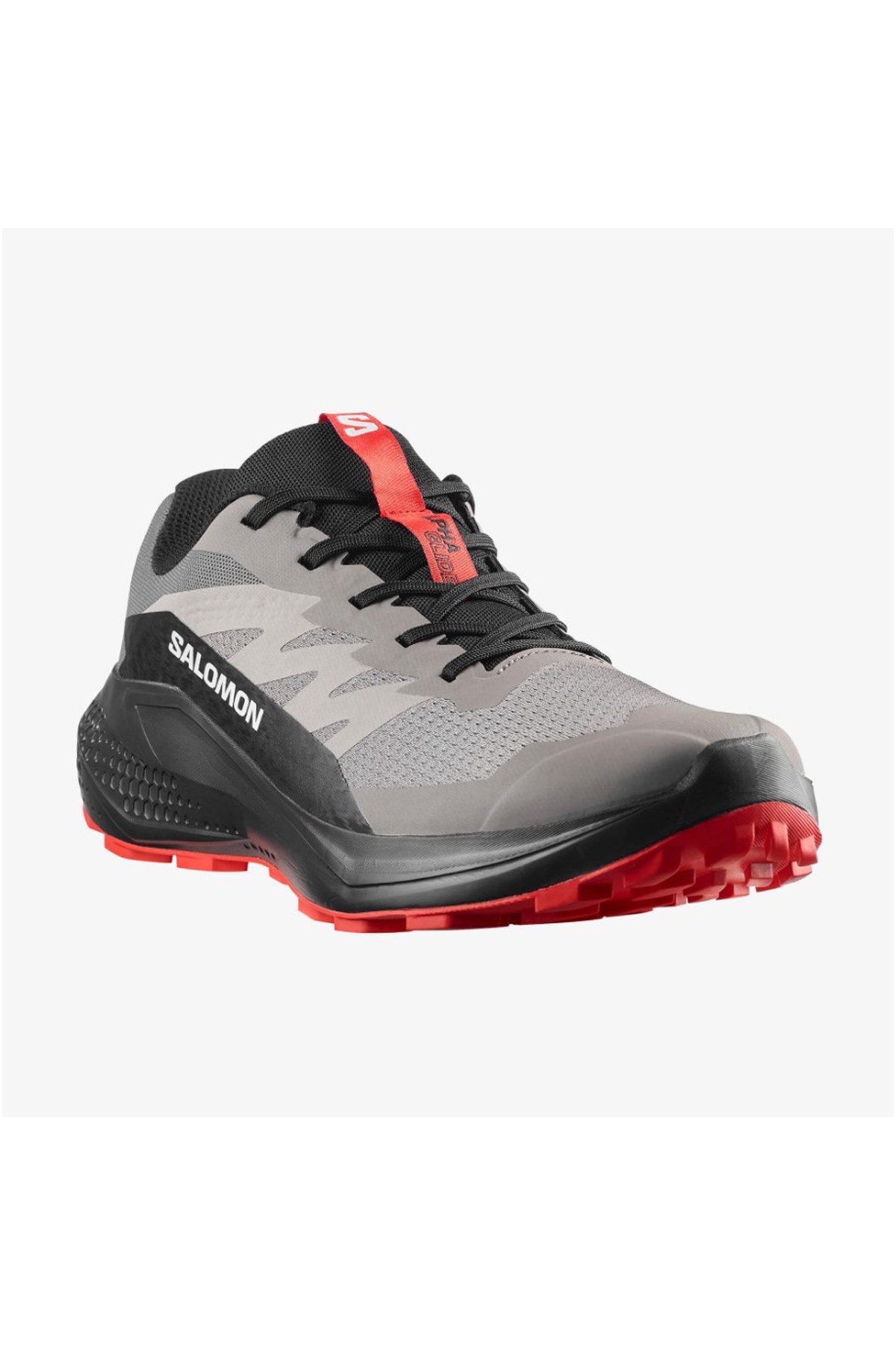 Salomon Alphaglide Erkek Outdoor Ayakkabı L48000800 Gri
