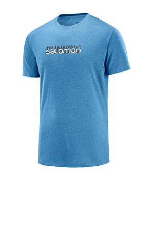 Salomon Agile Graphic Erkek Outdoor Tişört LC1036000
