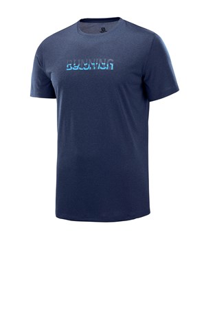 Salomon Agile Graphic Erkek Outdoor Tişört LC1036100