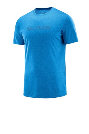 Salomon Agile Graphic Erkek Outdoor Tişört LC1036500
